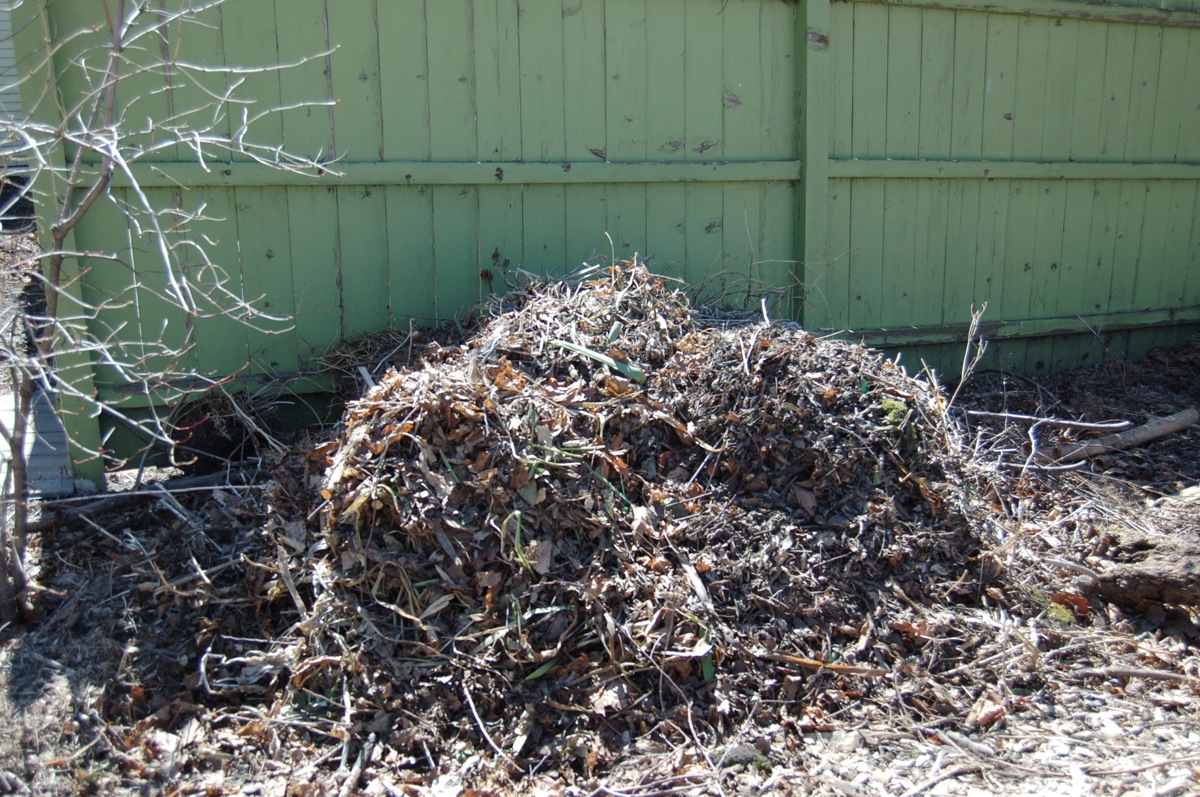 The Last Garden: Spring Clean-up