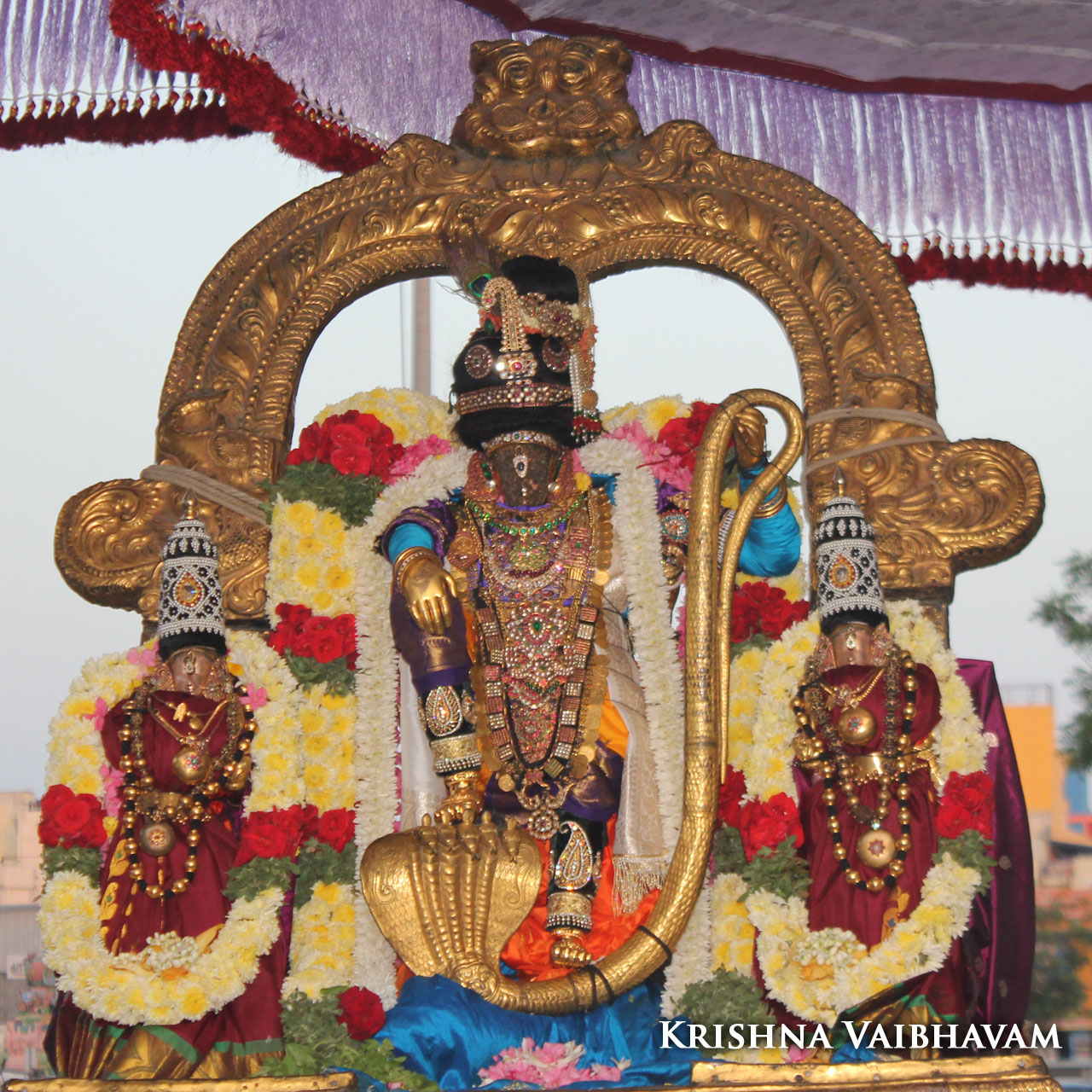 Krishna Vaibhavam: Thiruvallikeni Sri Parthasarathy Perumal Thai Poosam ...