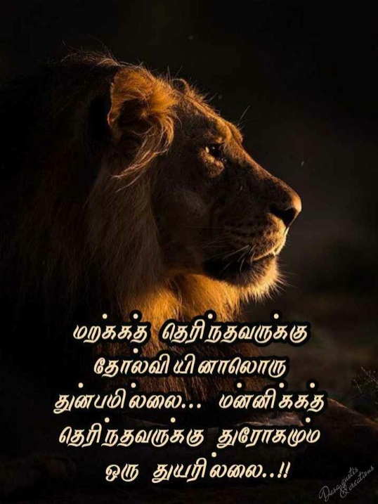 Tamil  Kavithaigal Whatsapp Status,Kavithaigal Whatsapp Dp
