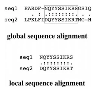 Bioinformatics: Analysis of Biological Sequences (#bioinformatics)(#ipumusings)(#biochemistry)(#biotechnology)