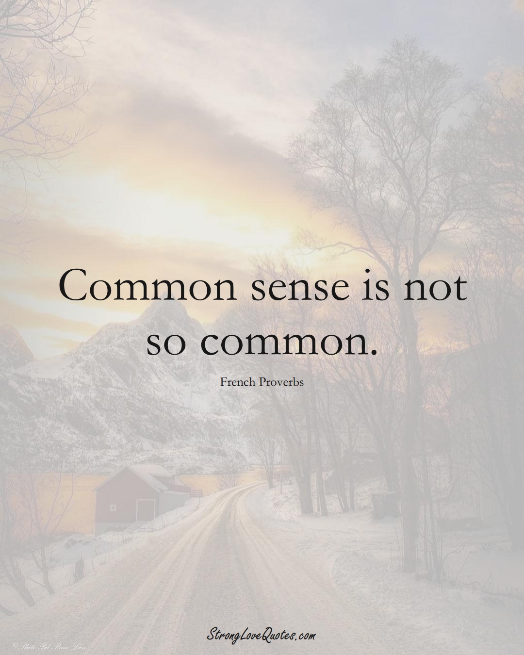 Common sense is not so common. (French Sayings);  #EuropeanSayings
