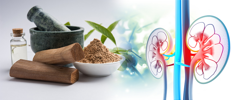 ayurveda-the-ultimate-cure-for-kidney-disease