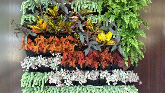 vertical garden in apartment