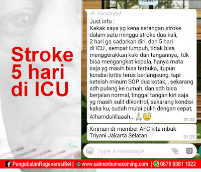 testimoni sop 100+ untuk stroke