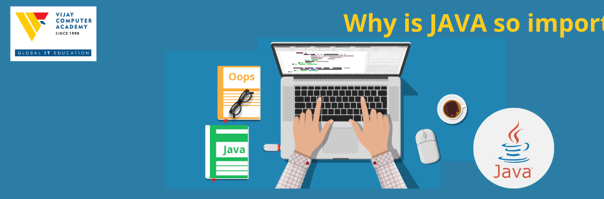 Why is Java so popular as a programming language?