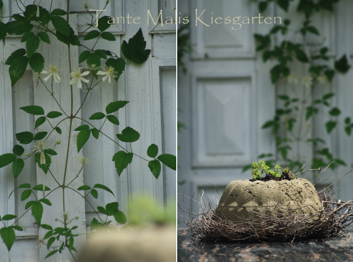 Steinreich - ein Feuer im Kiesgarten