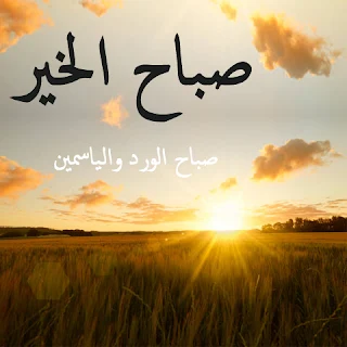 صباح الخير, صباح الورد, صور الصباح, صور, مكتوب عليها