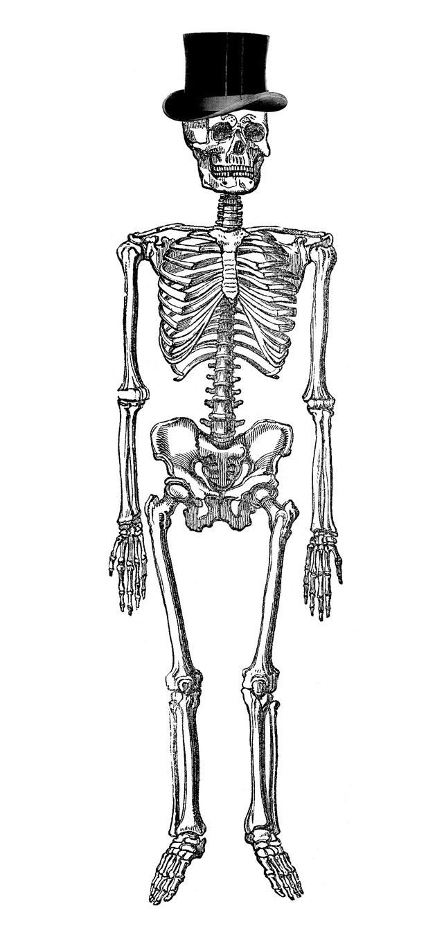 halloween skeleton clip art free - photo #7