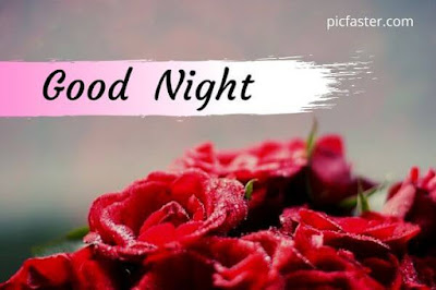 Latest - Good Night Rose Images, Photos For Whatsapp Latest - Good Night Rose Images, Photos For Whatsapp