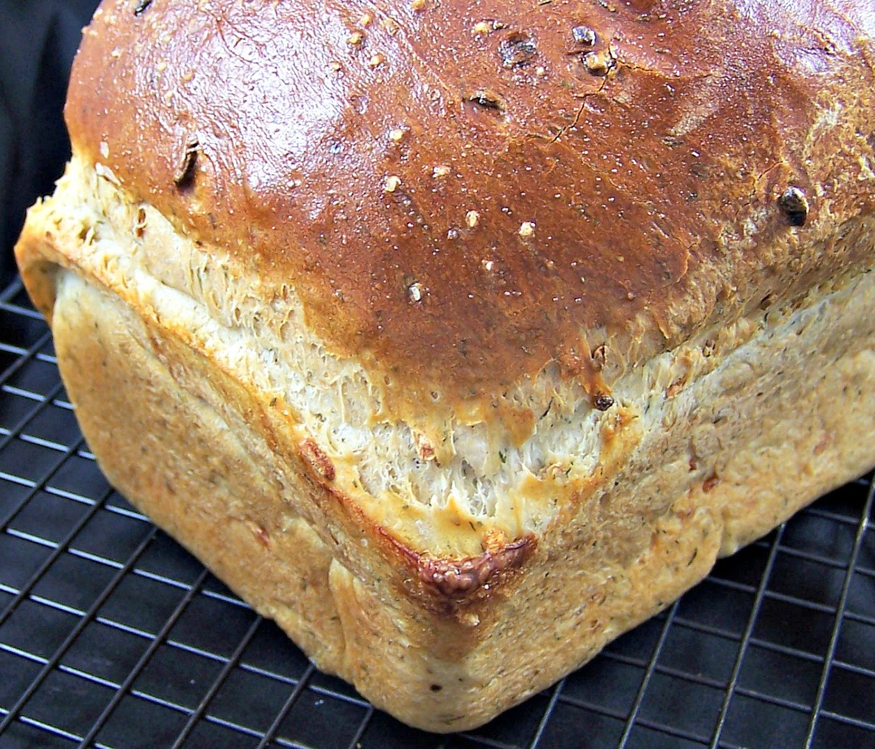 OllaPodrida Onion & Chive Bread