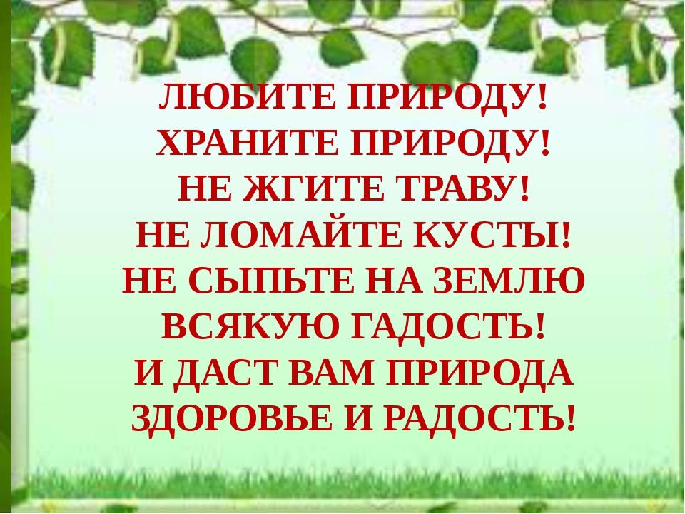 Дуб чувствовал свою силу в родной земле. Стих берегите природу. Стихи про экологию. Стихотворение береги природу. Береги природу стихи для детей.