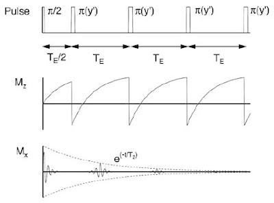 The Carr-Purcell-Meiboom-Gill pulse sequence, as shown in Fig. 18.21 of Intermediate Physics for Medicine and Biology.