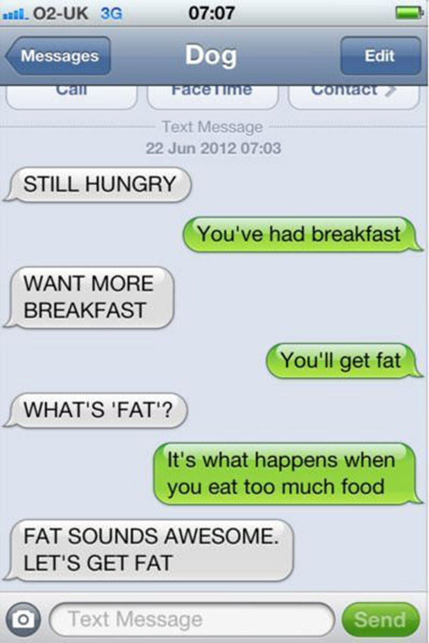 Funny Text Messages Photos Funny Text Messages Photos