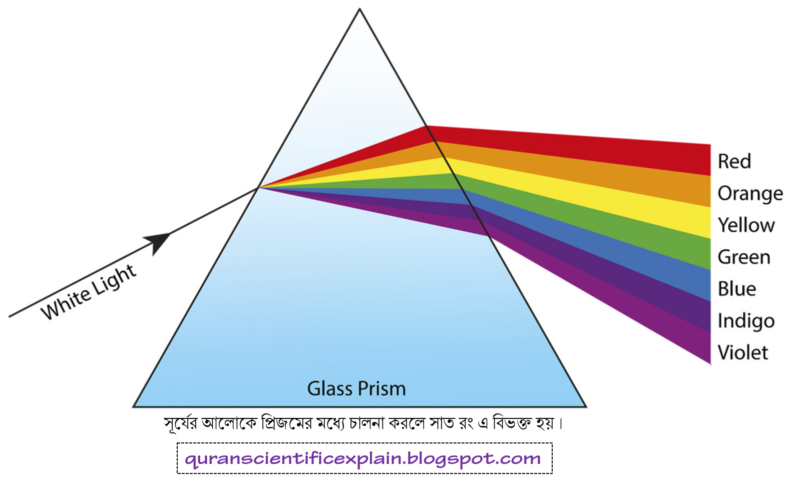 সমুদ্রের গভীর অন্ধকার ও আলোর প্রকৃতি