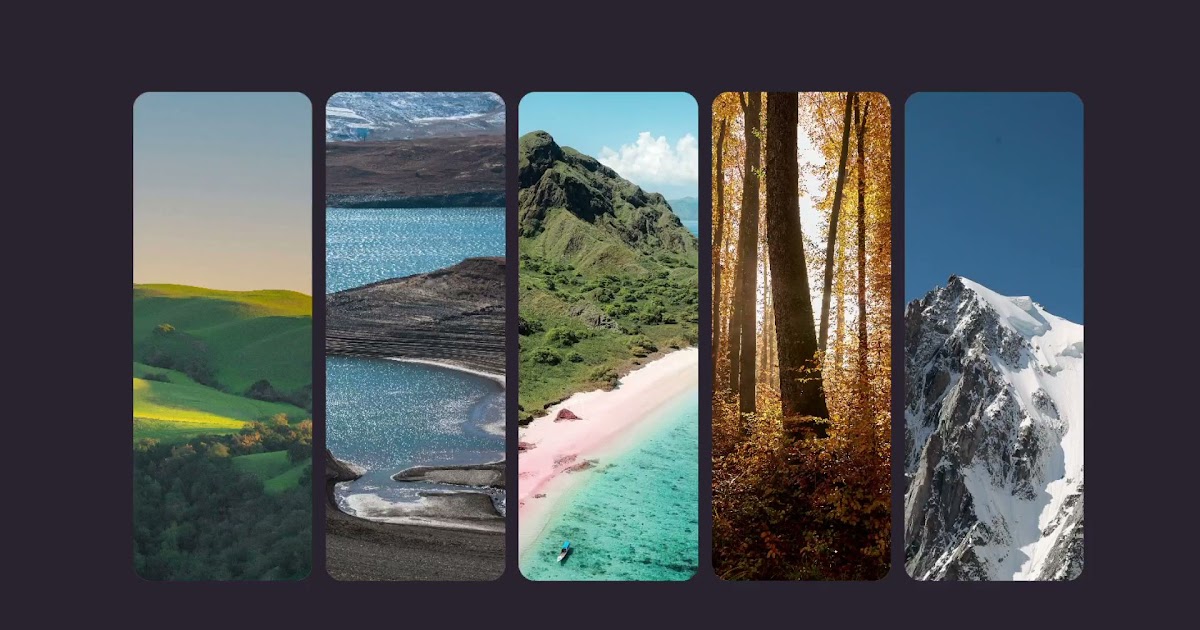 Image with Accordion Effect on Hover using CSS and HTML