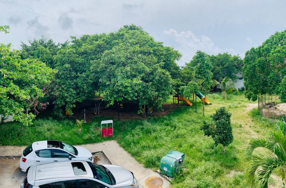 Realtor PA BOSQUE REAL