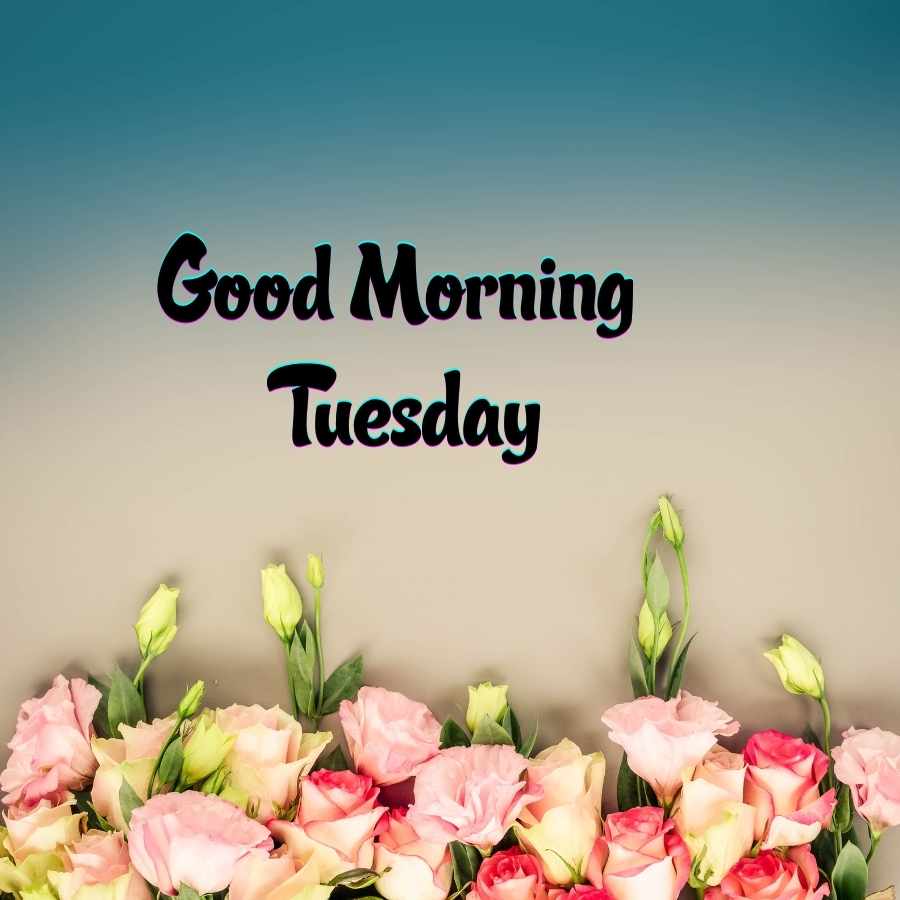 good morning tuesday pink flowers
