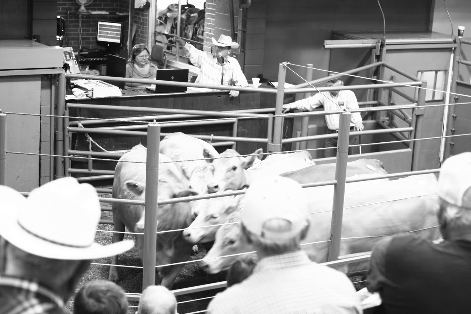 Bama Beef Blog September 2011