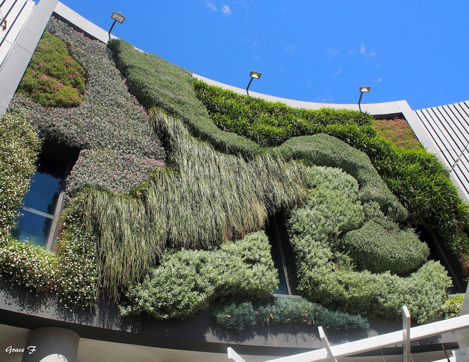 Perth Daily Photo Vertical Gardens..