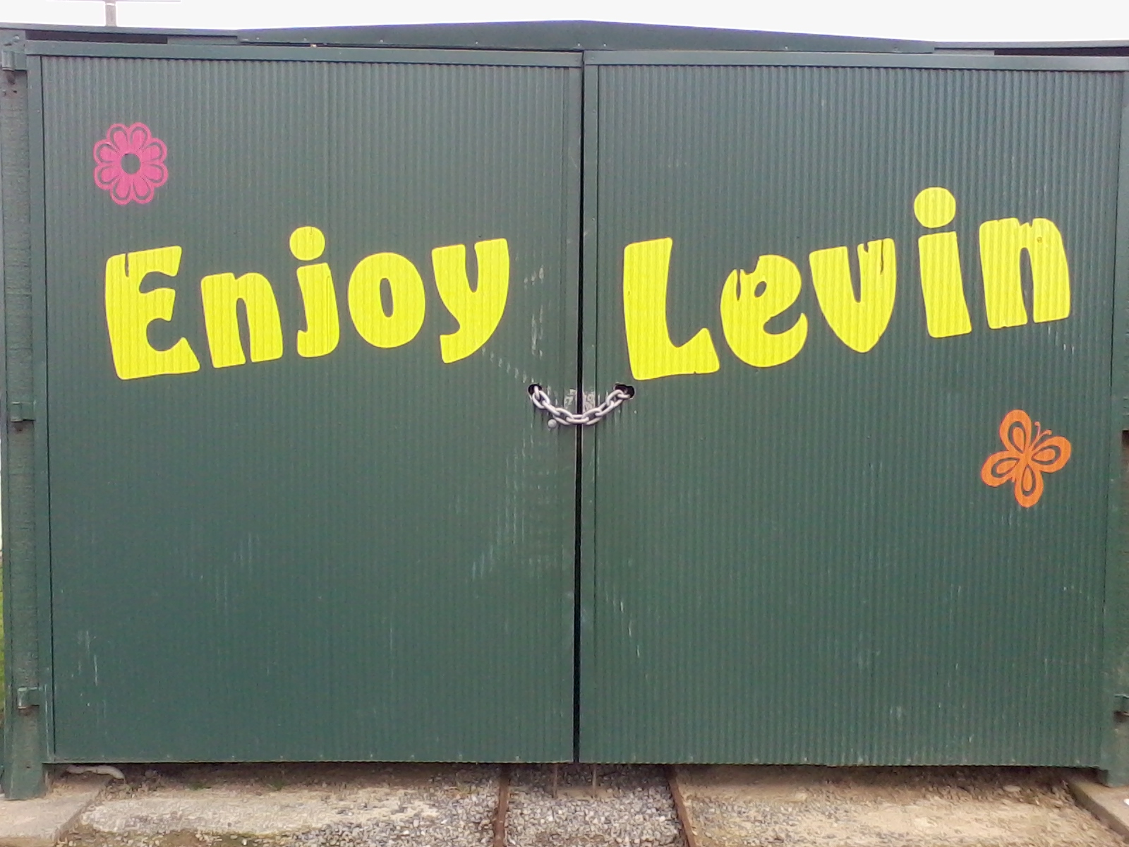 The Great Plan Levin