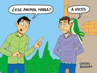 Ver las imágenes de origen
