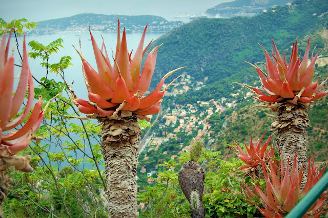 Lipstick Kingdom: (Must See: Le Jardin Exotique Eze)