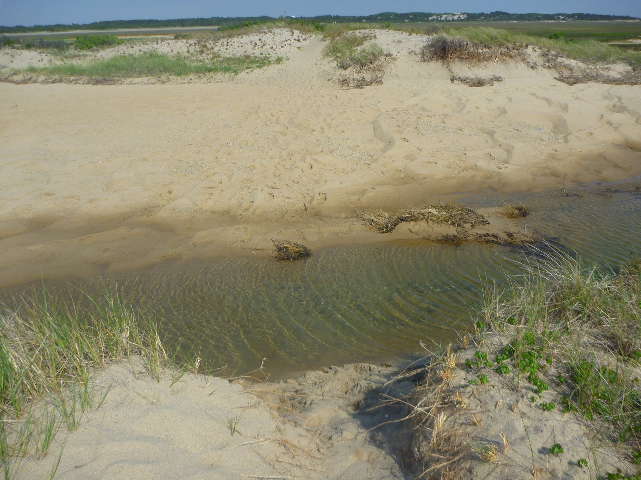 Trailing Ahead Explore the very tip of Cape Cod Hatches Harbor Trail