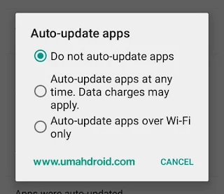 Mematikan Auto Update Pada Play Store