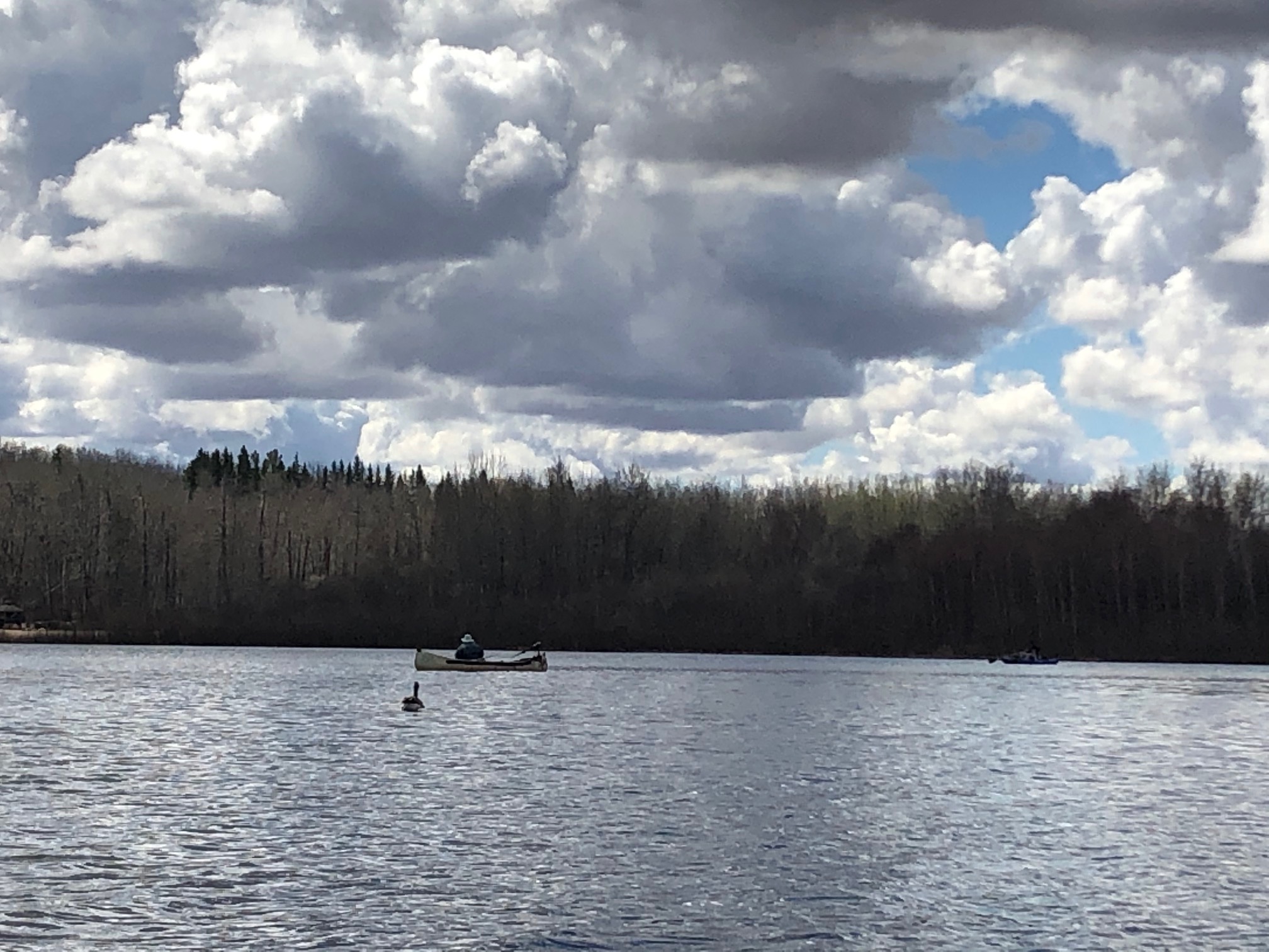 Canoeing Around Edmonton, Alberta, Canada Muir Lake