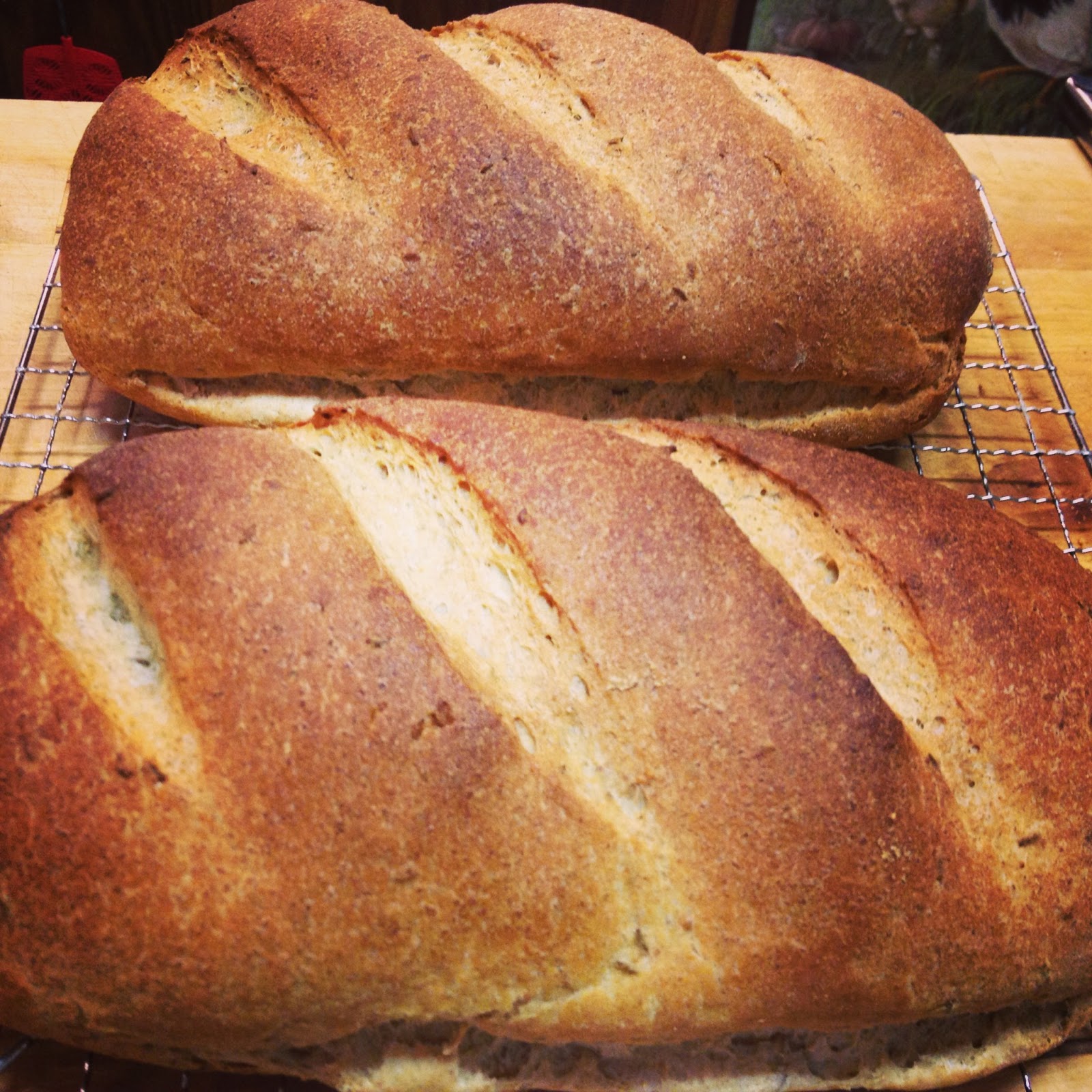 Tracy Cooks in Austin: Jewish Rye Bread (seeded) Lots of steps but not ...