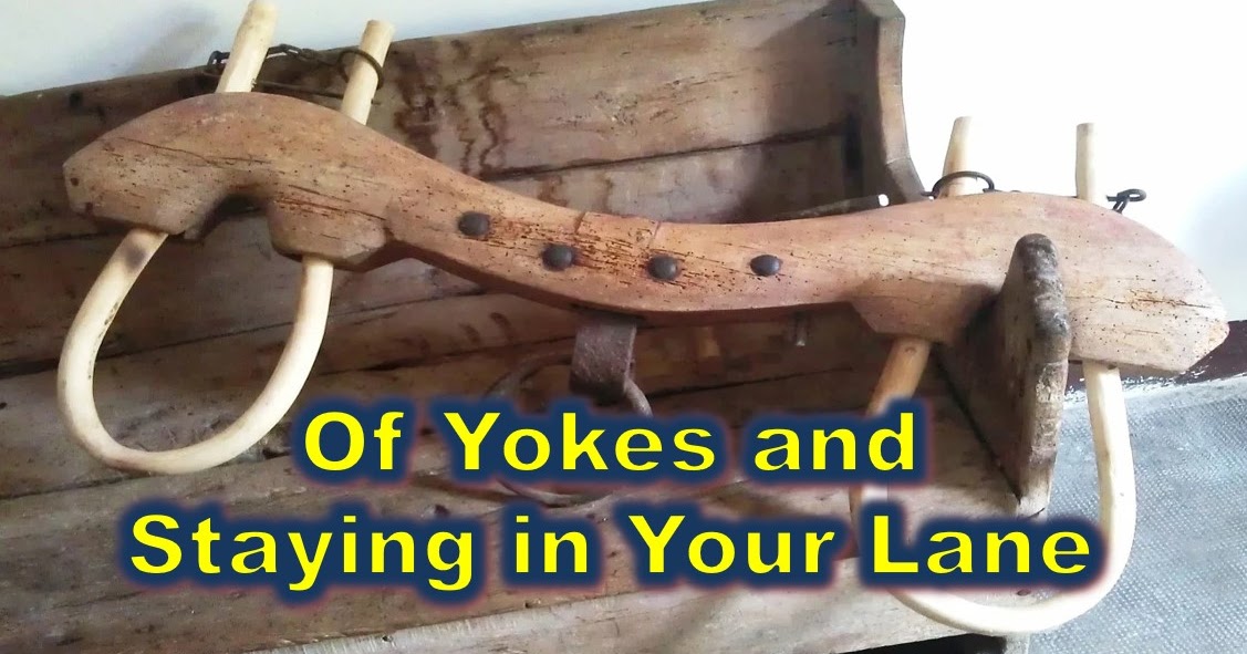 Rocky Road Devotions Of Yokes, and Staying in Your Lane