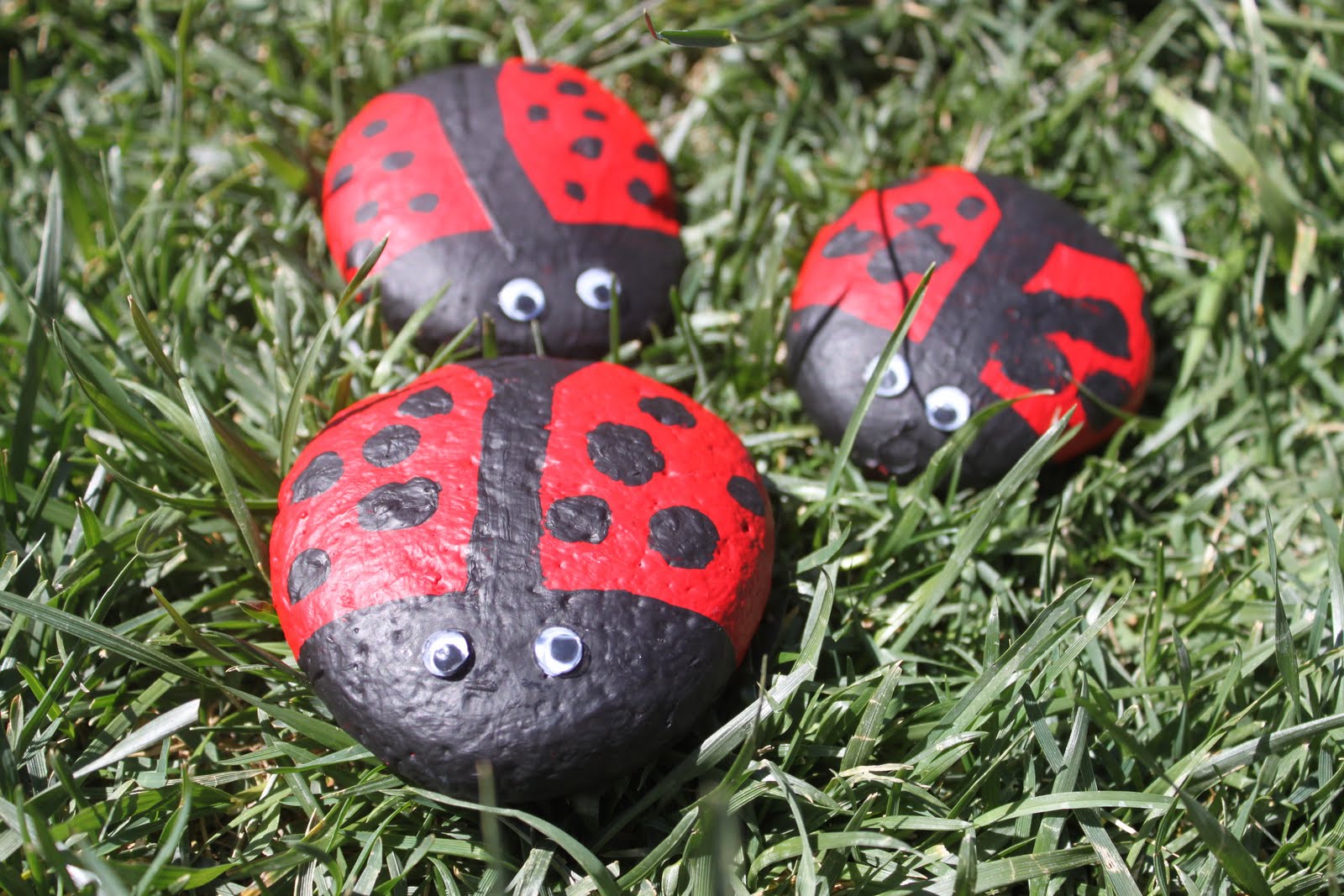lovelaughplay-cute-and-easy-ladybug-pet-rocks