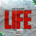 DOWNLOAD MP3 : Lewis Majestade - Life (Feat. Mr. Free) [ 2020 ]