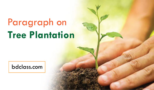 Tree Plantation Paragraph