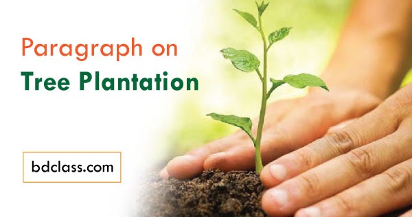 Essay on importance of trees with introduction and conclusion image