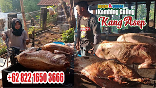 Ahlinya Kambing Guling Bandung 082216503666,Ahlinya Kambing Guling Bandung,kambing guling bandung,kambing guling,