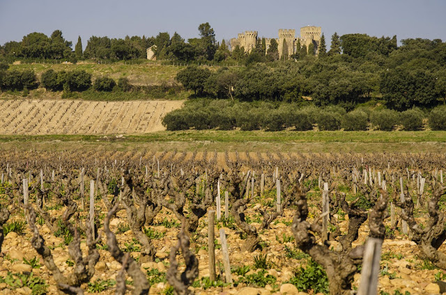 Vinuri Châteauneuf-du-Pape Franta