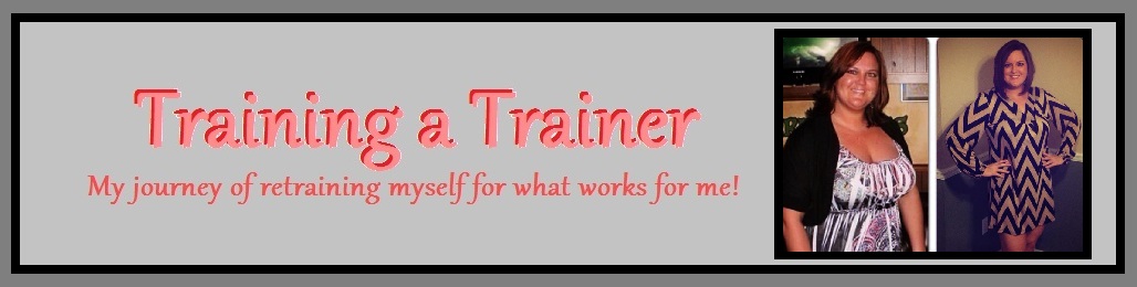 Training a Trainer