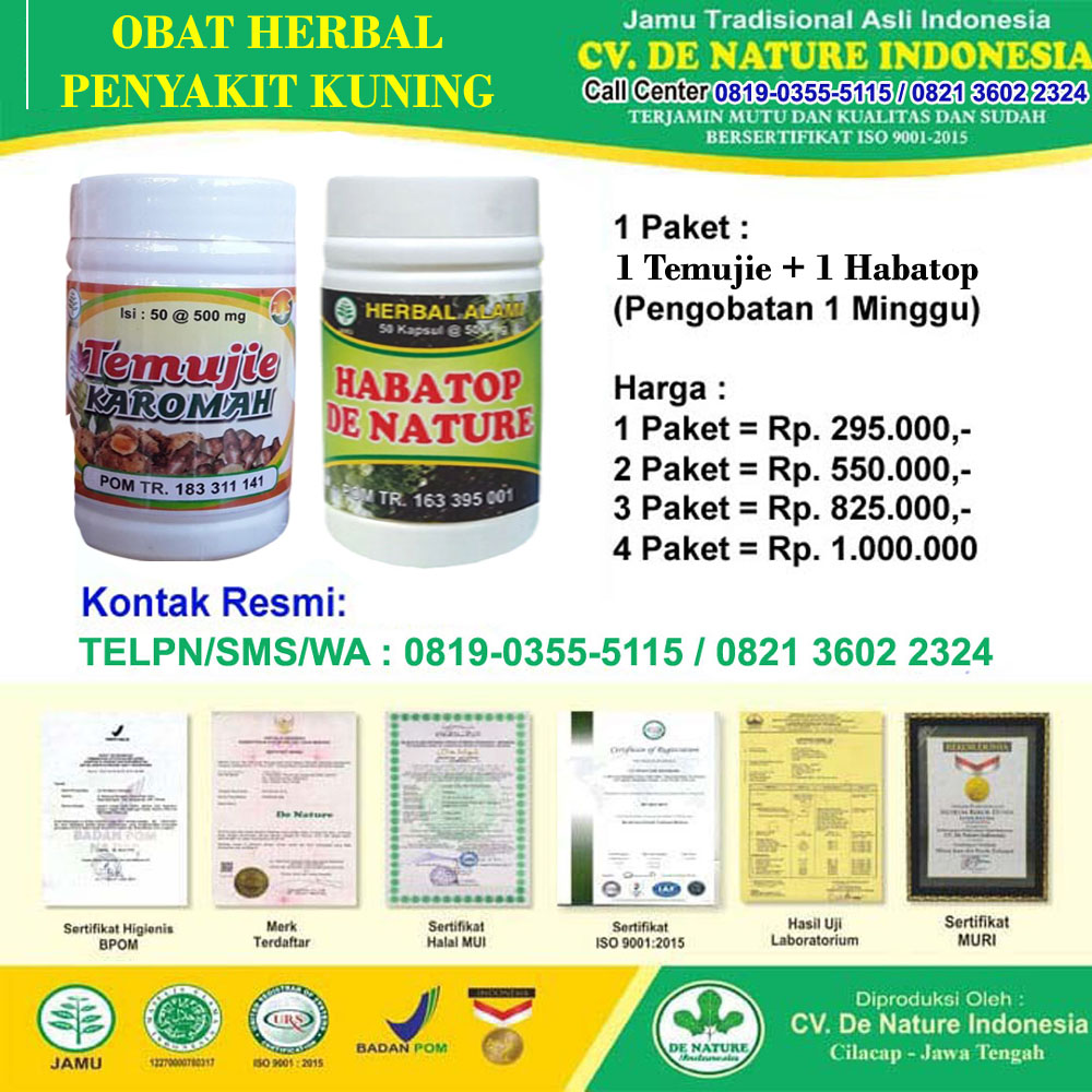 obat penyakit kuning sangat ampuh 3 hari sembuh