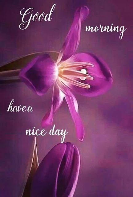 Good Morning Images For Whatsapp Good Morning Images For Whatsapp