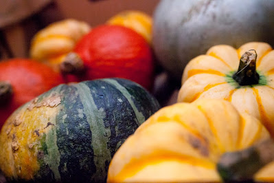 A selection of small squashes