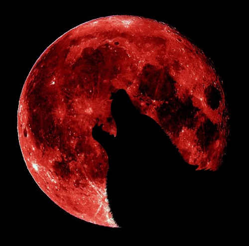 Hiện tượng 'Mặt trăng máu' báo hiệu ngày tận thế nhân loại?