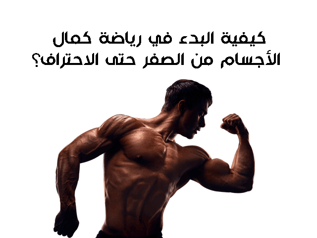 كيفية البدء في رياضة كمال الأجسام من الصفر حتى الاحتراف؟ كيفية البدء في رياضة كمال الأجسام من الصفر حتى الاحتراف؟