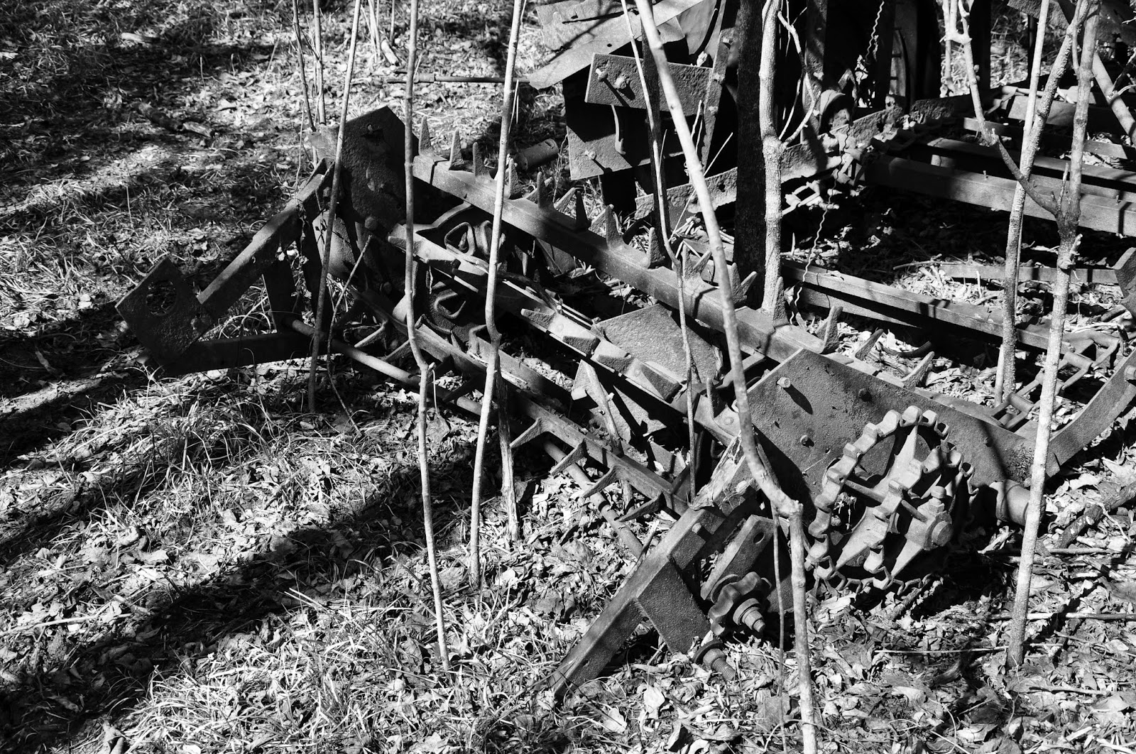 Wordless Wednesday Manure Spreader