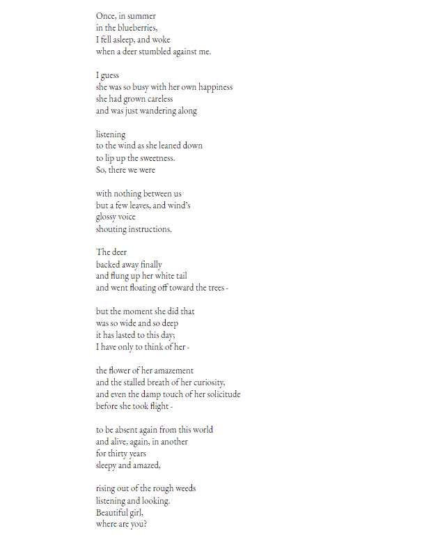 How I Annotate Poetry and my Annotation of a Mary Oliver Poem