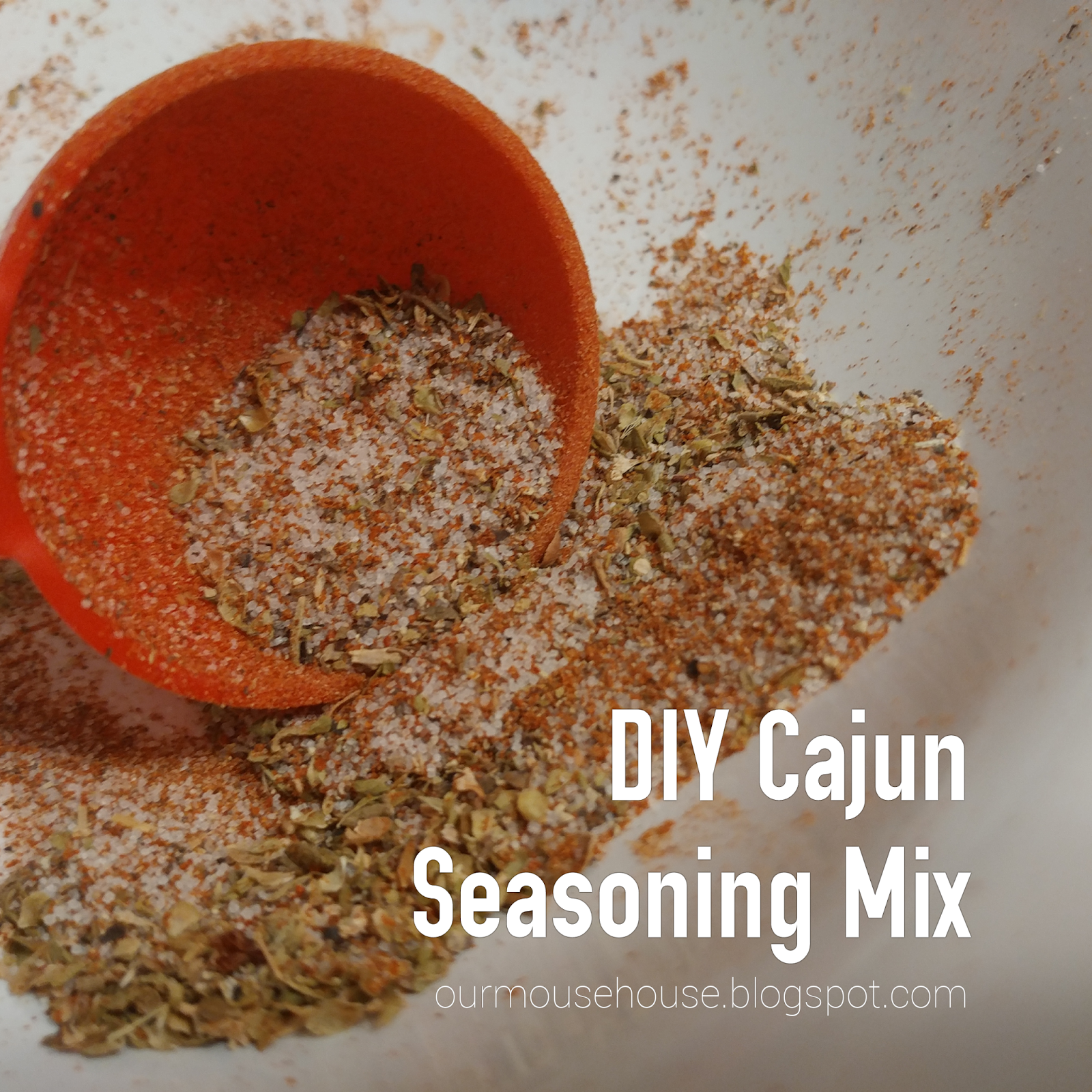 Our Mouse House DIY Simple Cajun Seasoning Mix