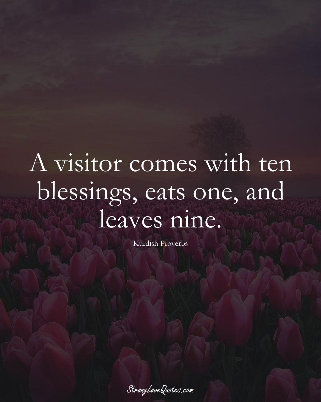 A visitor comes with ten blessings, eats one, and leaves nine. (Kurdish Sayings);  #aVarietyofCulturesSayings