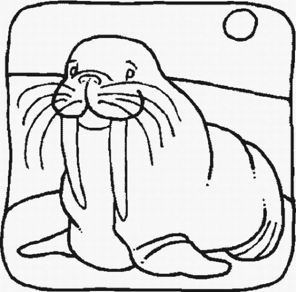 wally walrus coloring pages - photo #41
