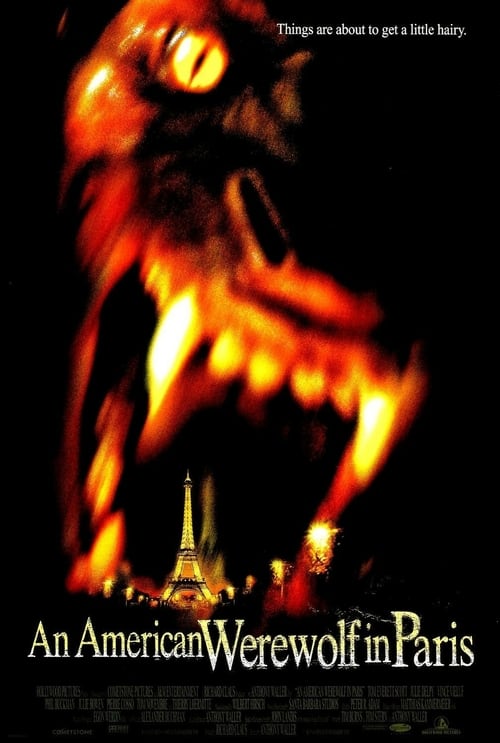 Descargar Un hombre lobo americano en París 1997 Blu Ray Latino Online