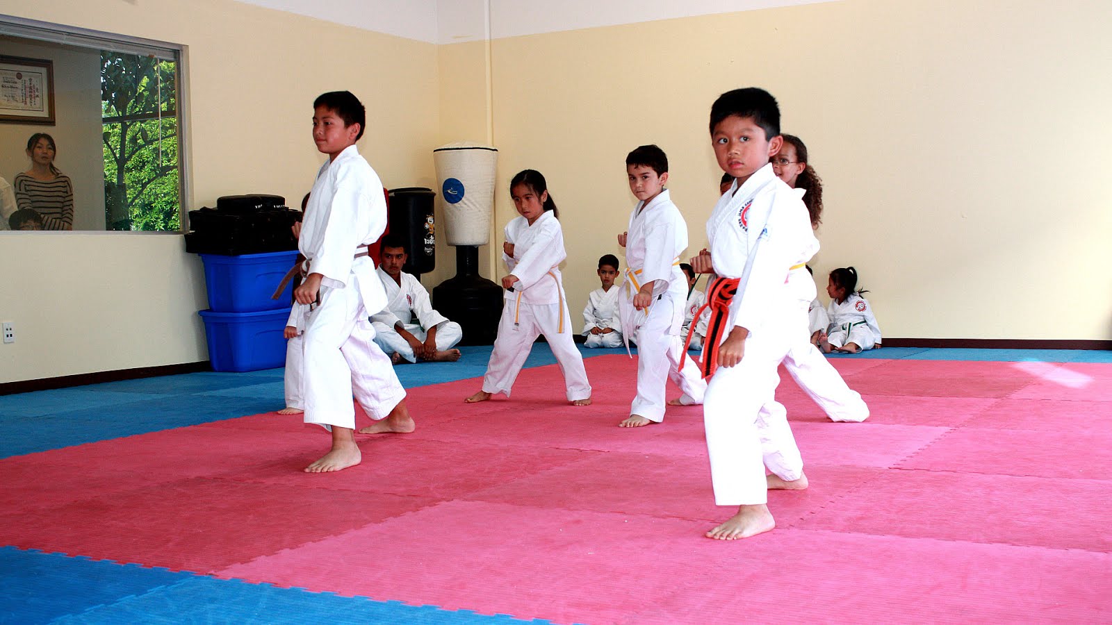 Trinidad and Tobago Karate Union Karate Choices